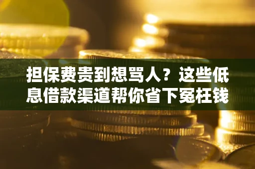 济南担保费贵到想骂人？这些低息借款渠道帮你省下冤枉钱