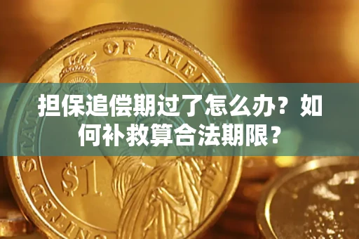 济南担保追偿期过了怎么办？如何补救算合法期限？